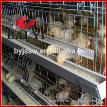 H type, 400 Birds Capacity Chicken Breeder Cage
